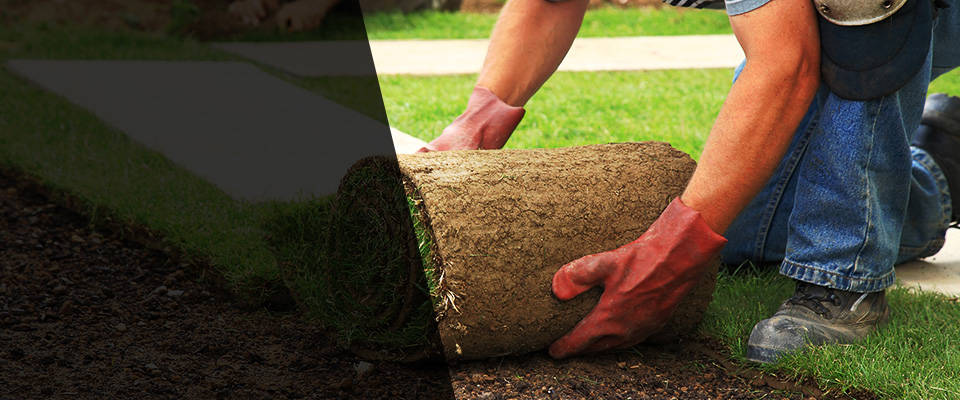 Lake Mills Landscapers